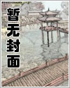严谨的小说