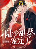 陆少甜妻有点儿萌